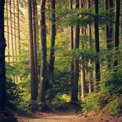 ob体育最新官网app下载截图