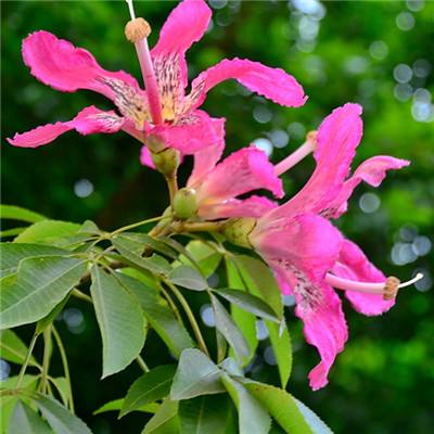 澳门太阳游戏城app