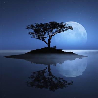 今期澳门三肖三码开一码手机app下载