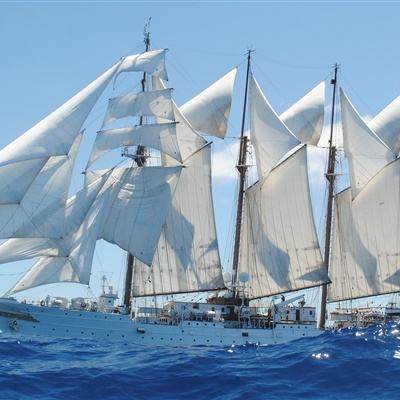 新澳门六开彩资料大全app下载